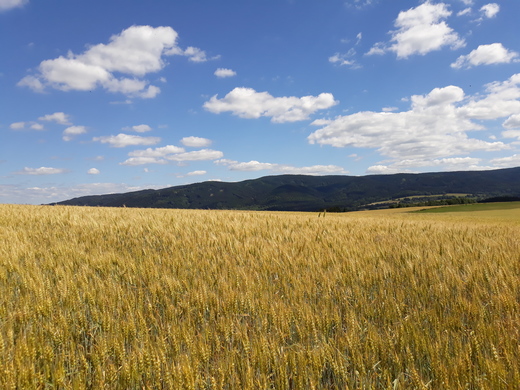 červenec/2018