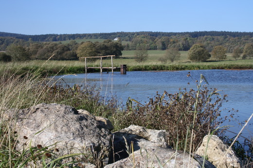 Rourák (podzim/2011)