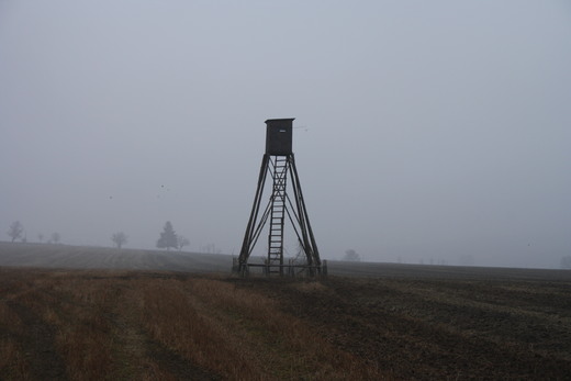 Mládežnická (březen/2014)